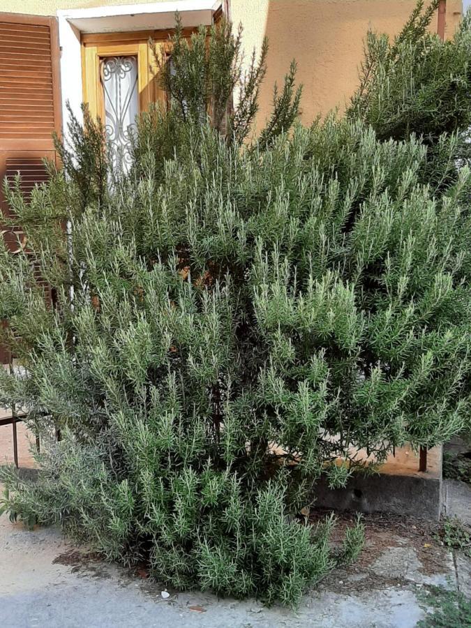 Вілла Il Rosmarino Fresonara  Екстер'єр фото